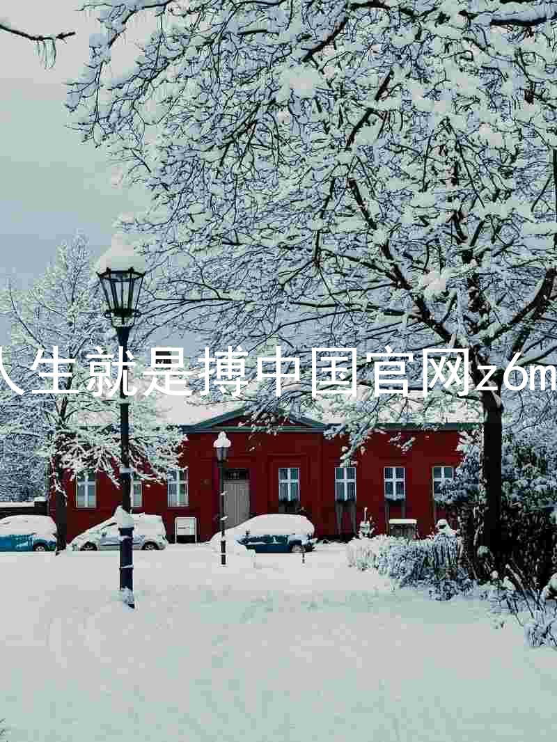 人生就是搏中国官网z6mg